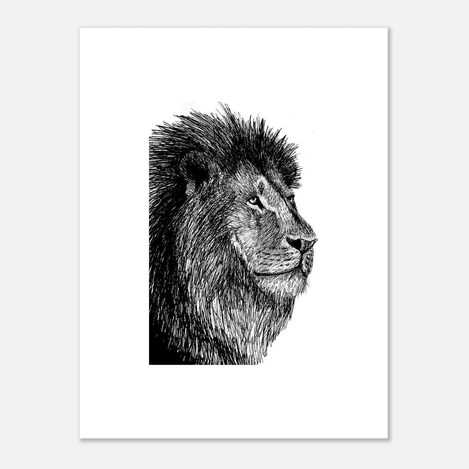 All Things Lion