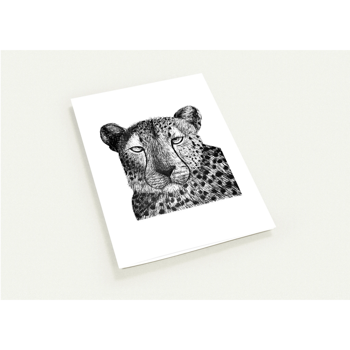 Cheetah Pack of 10 Greeting Cards
