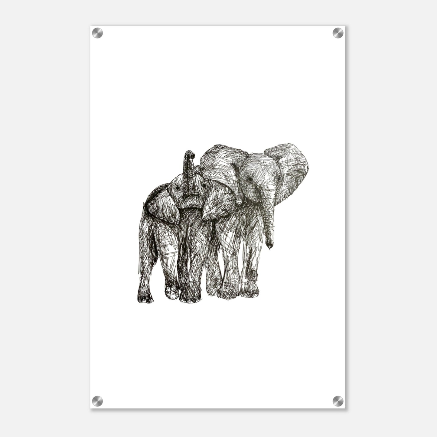 Elephant Acrylic Print