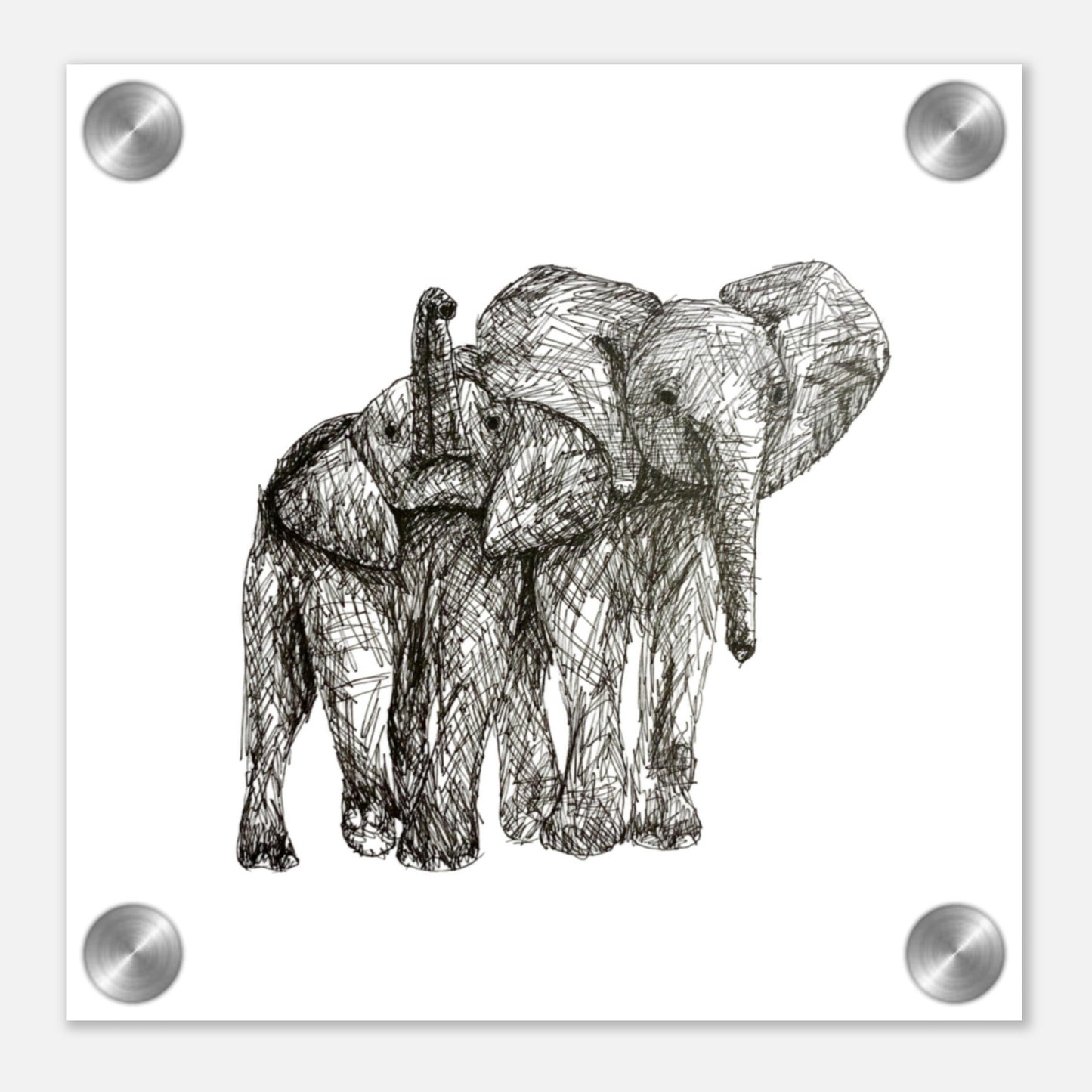Elephant Acrylic Print