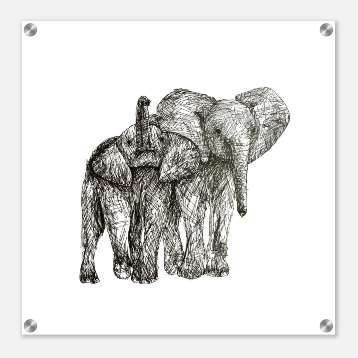 Elephant Acrylic Print