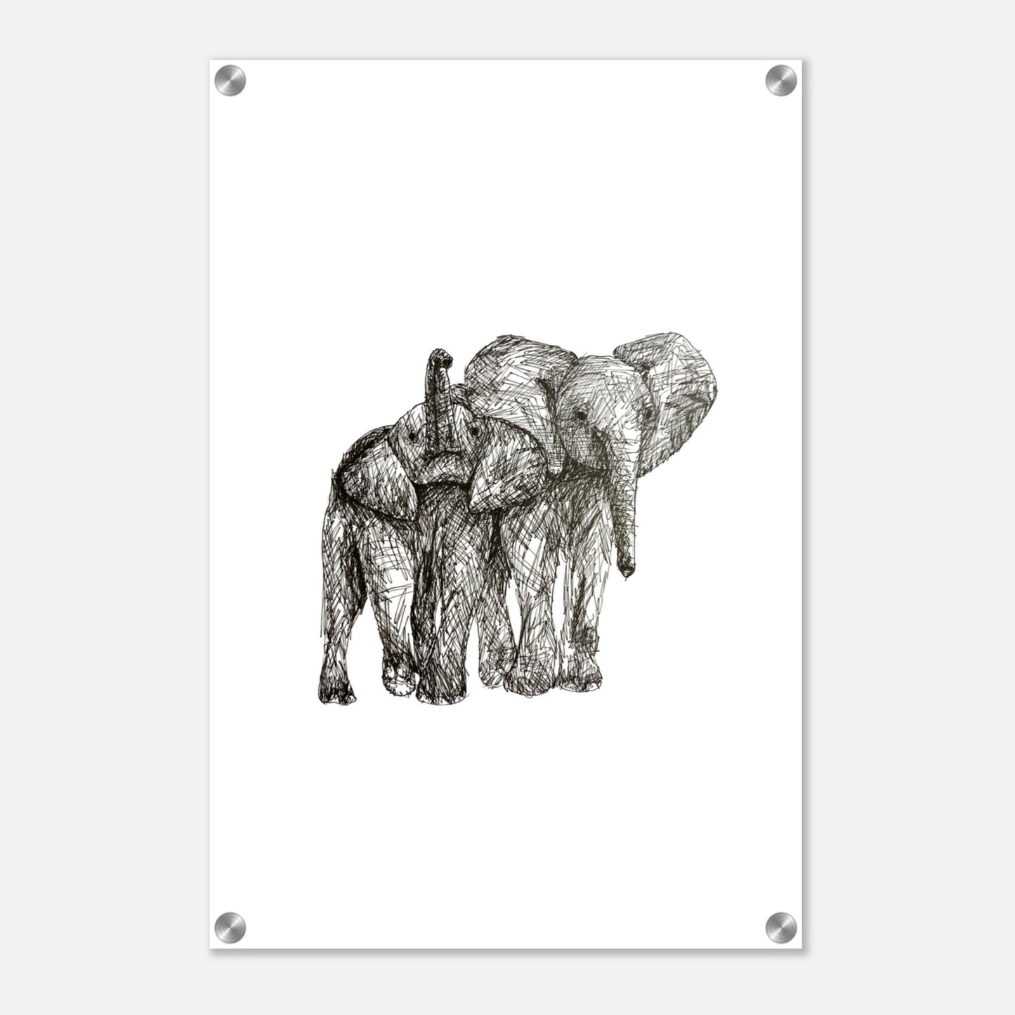 Elephant Acrylic Print