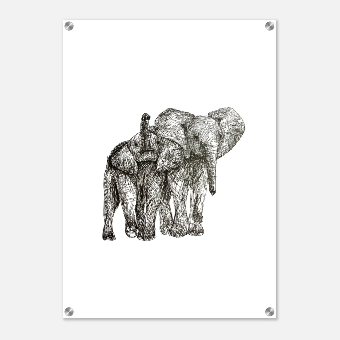 Elephant Acrylic Print