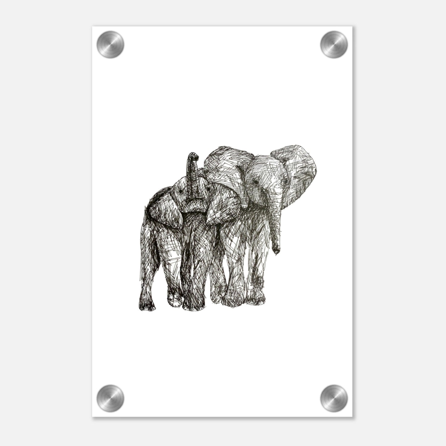Elephant Acrylic Print