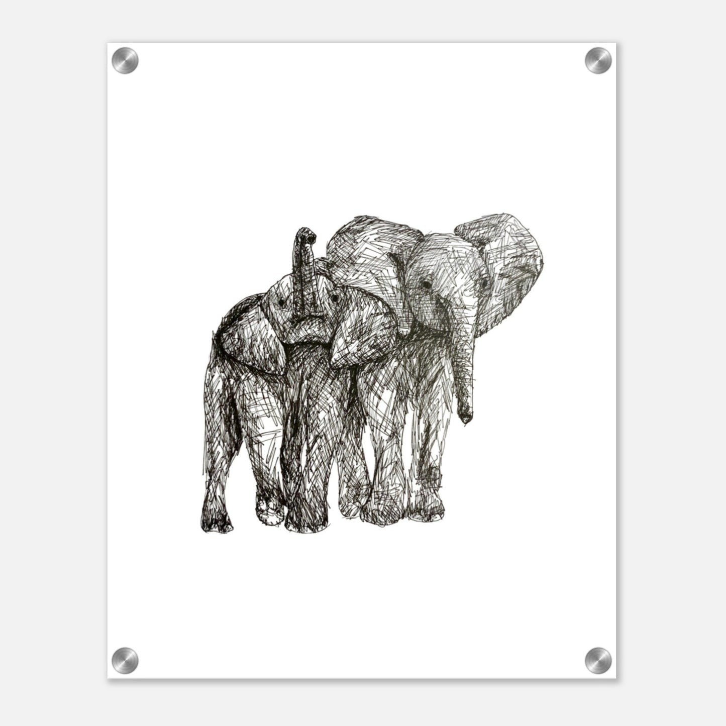 Elephant Acrylic Print