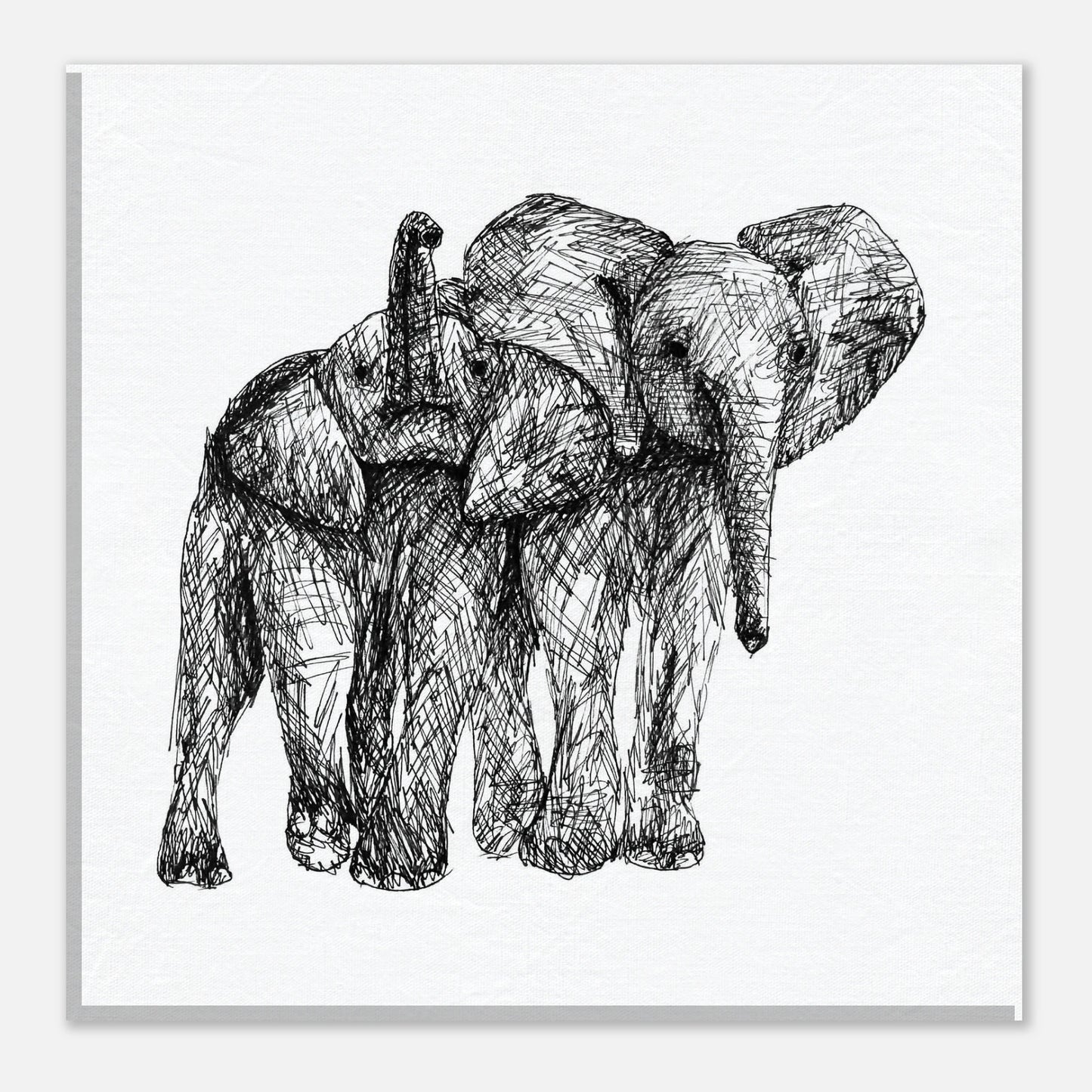 Elephants Canvas