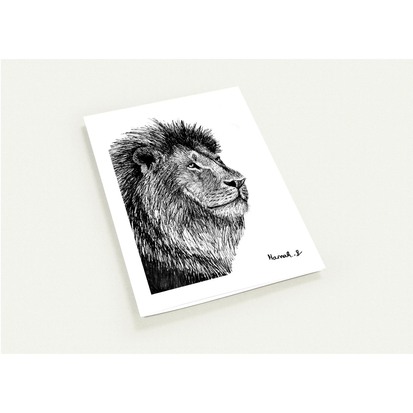 Lion Pack of 10 Greeting Cards