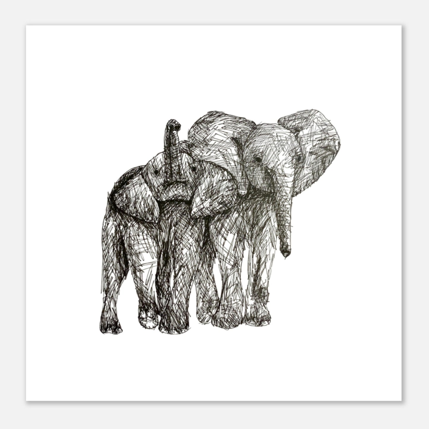 Monochrome Elephant Aluminum Print