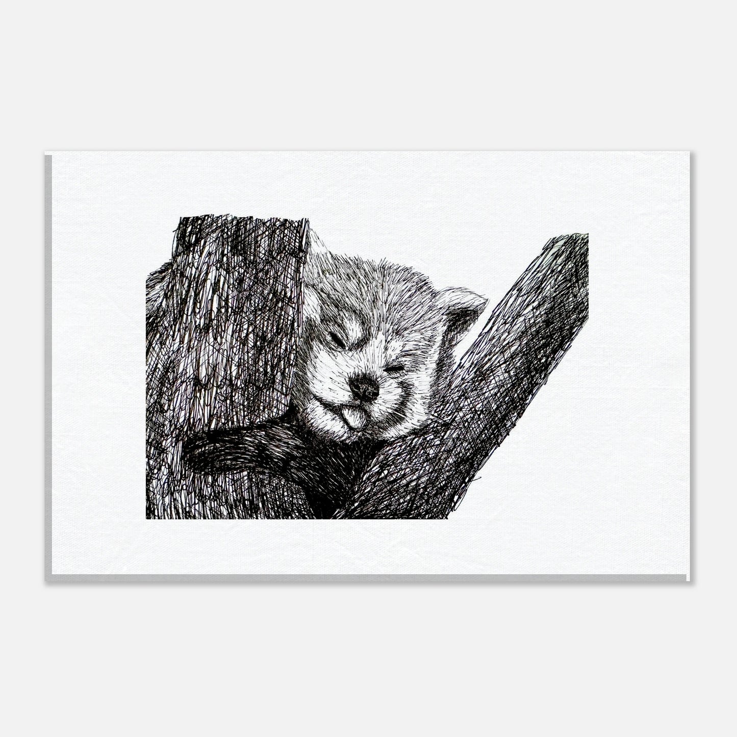 Red Panda Canvas
