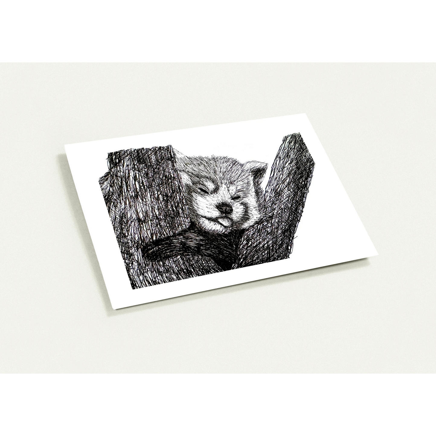 Red Panda Pack of 10 Greeting Cards