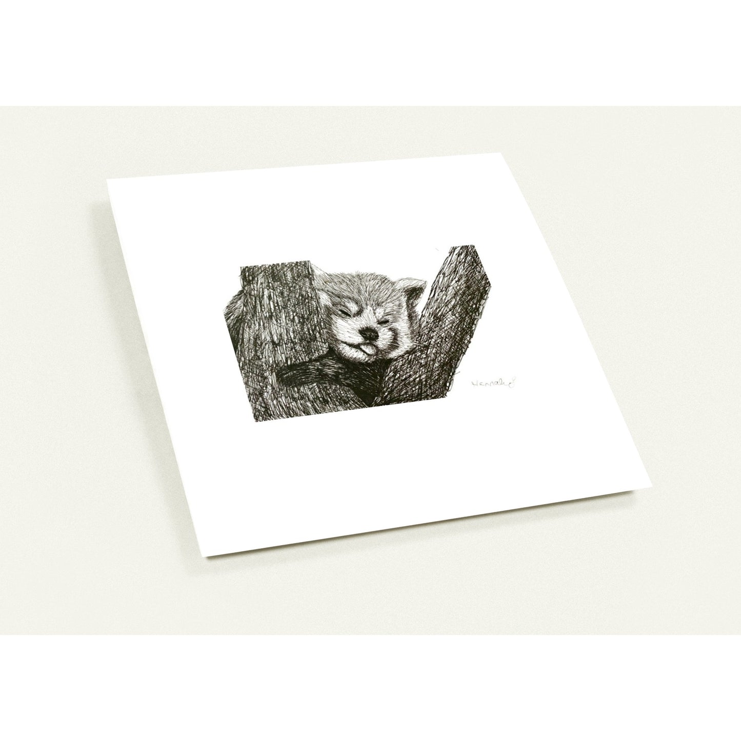 Red Panda Pack of 10 Greeting Cards