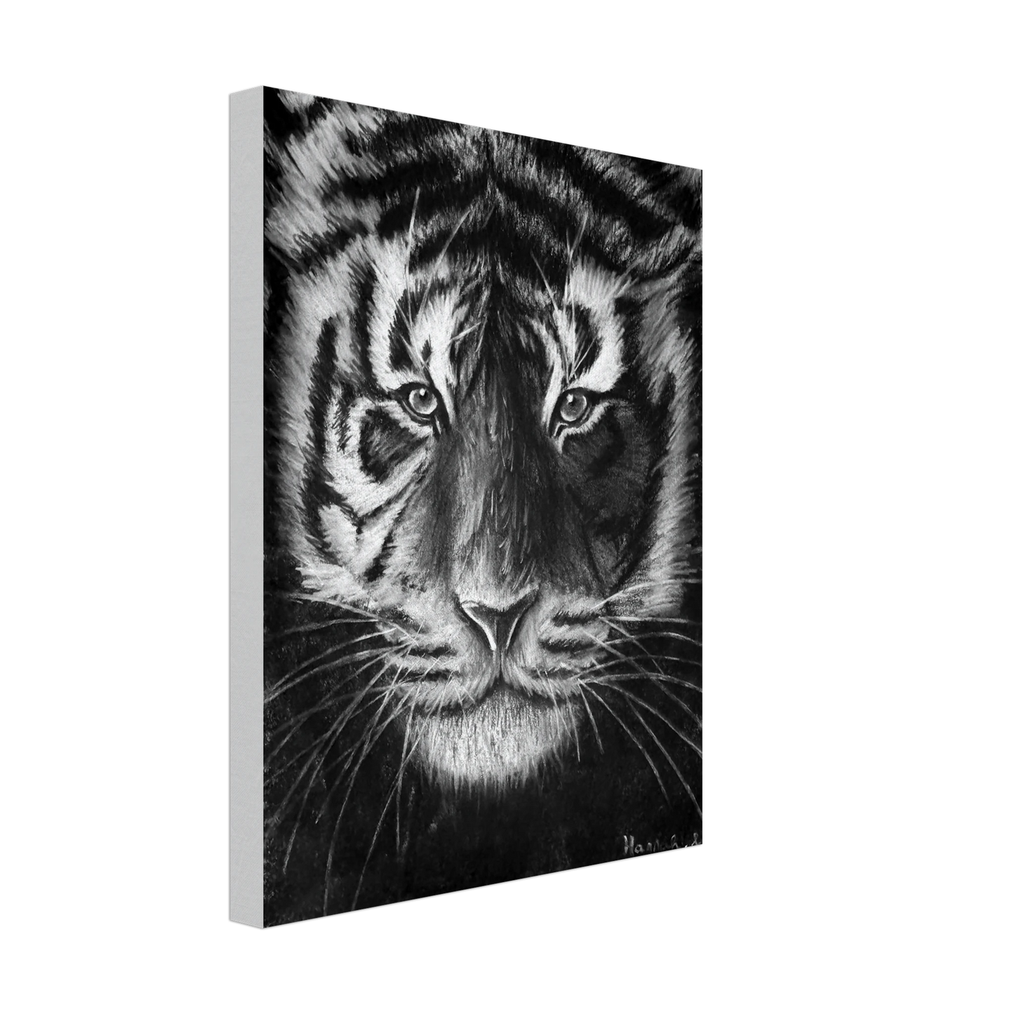 Tiger Canvas