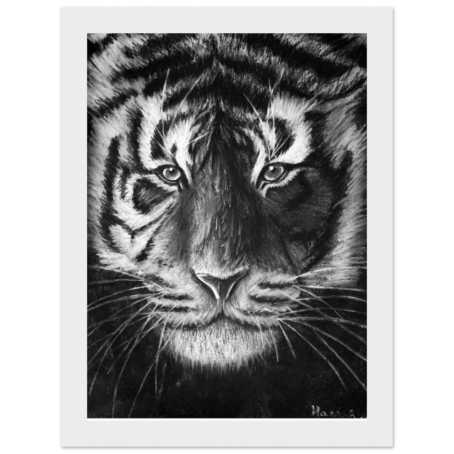 Tiger Classic Matte Paper Wooden Framed Poster