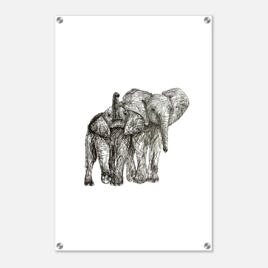 Elephant Acrylic Print