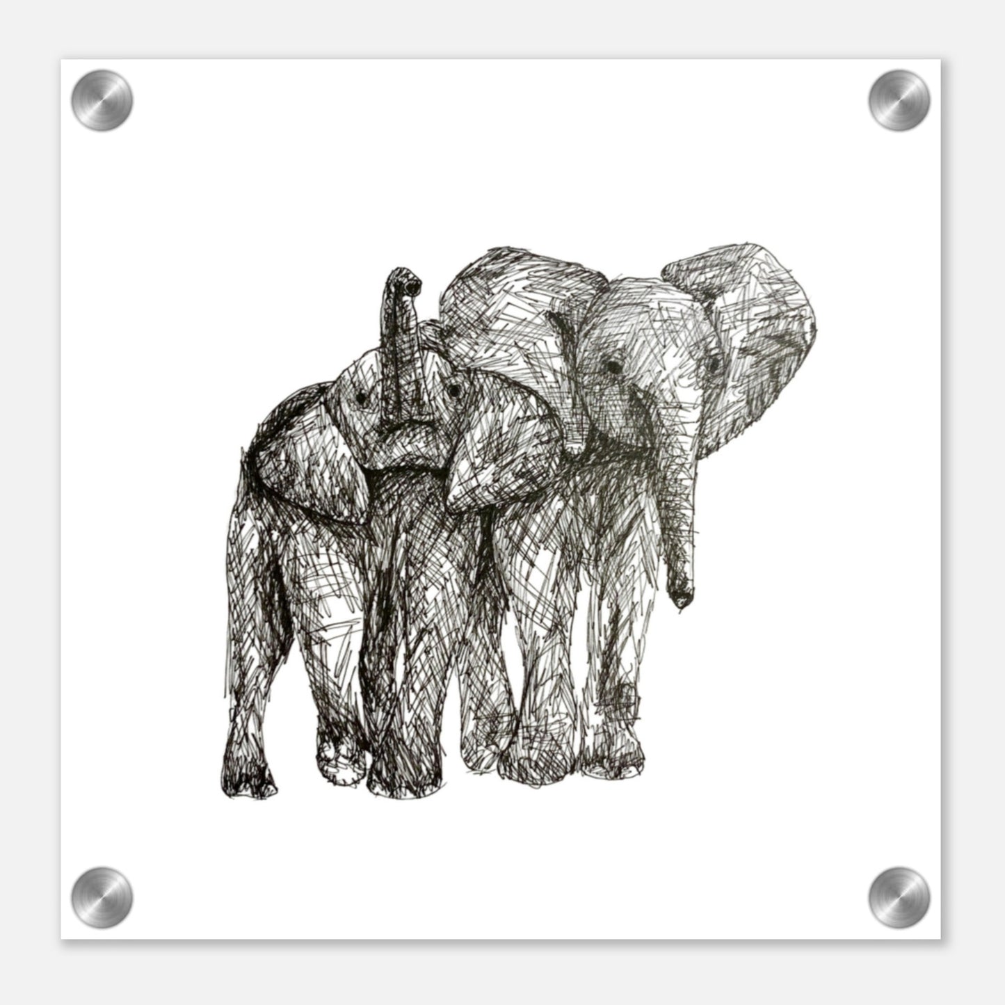 Elephant Acrylic Print