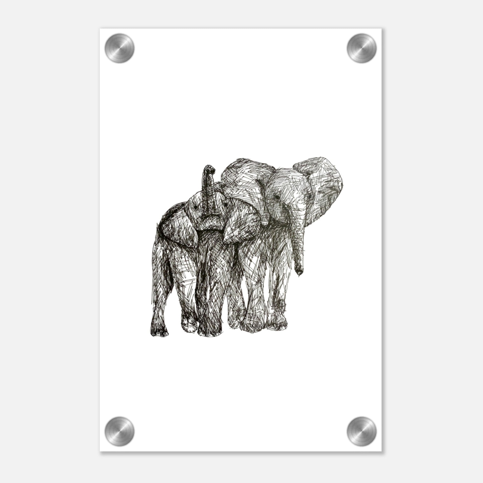 Elephant Acrylic Print