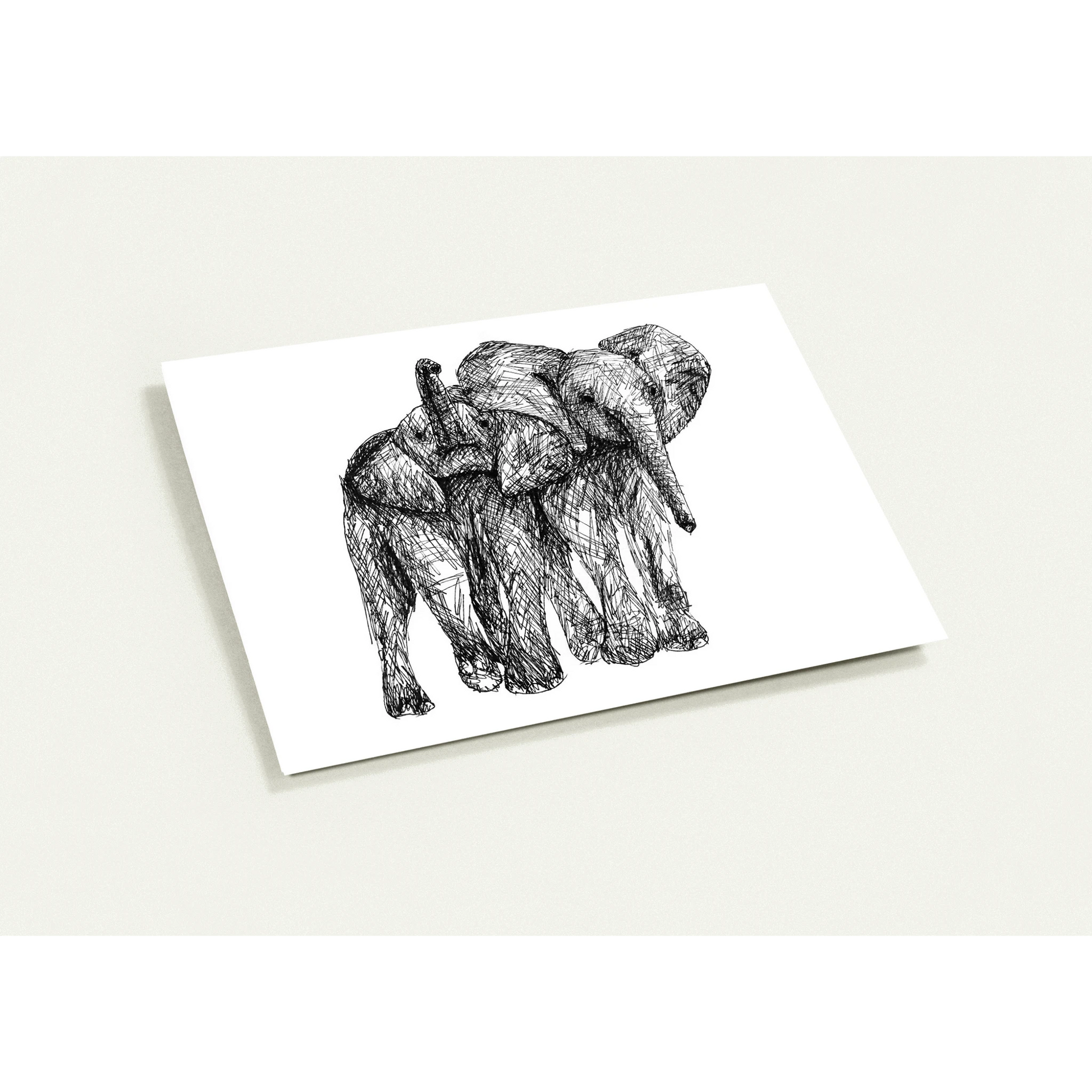 Elephant Pack of 10 Greeting Cards