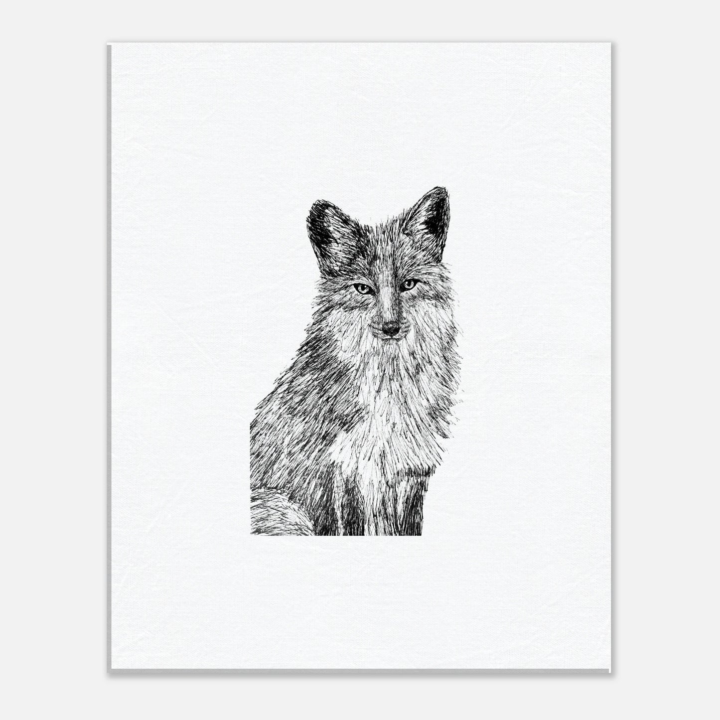 Fox Canvas