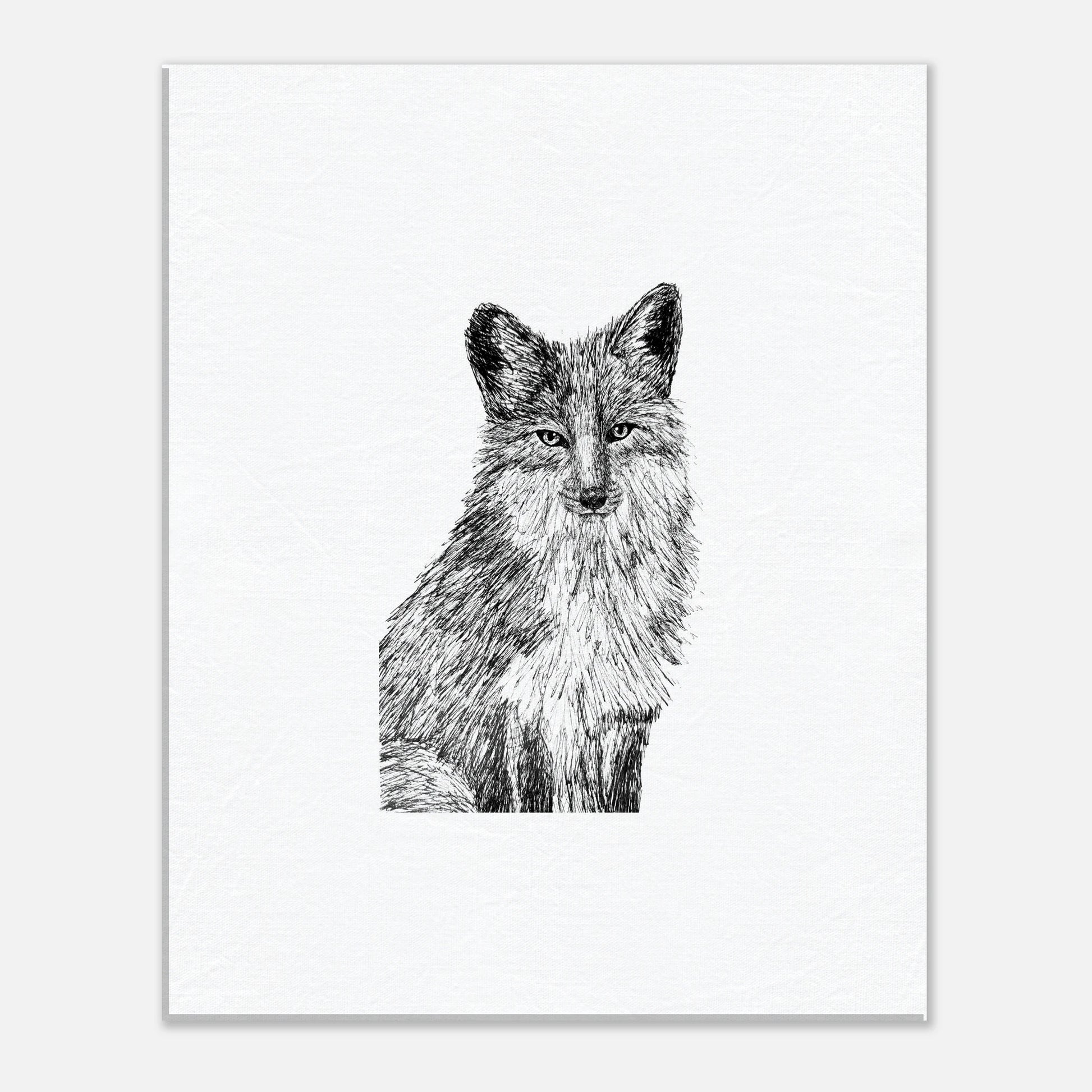Fox Canvas