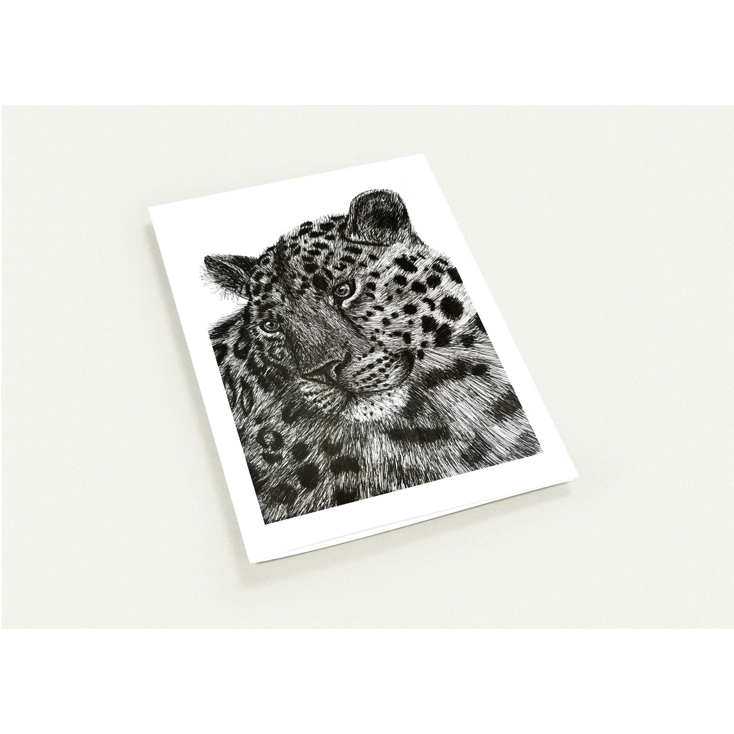 Leopard Pack of 10 Greeting Cards