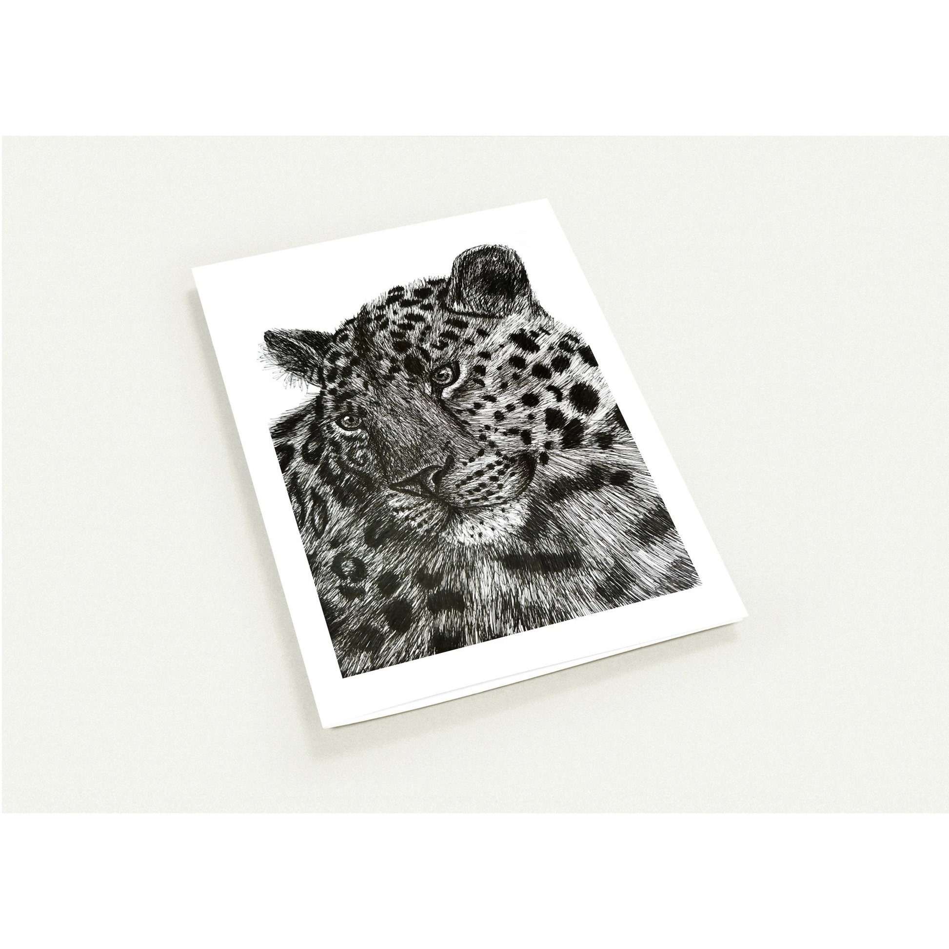 Leopard Pack of 10 Greeting Cards