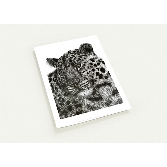 Leopard Pack of 10 Greeting Cards
