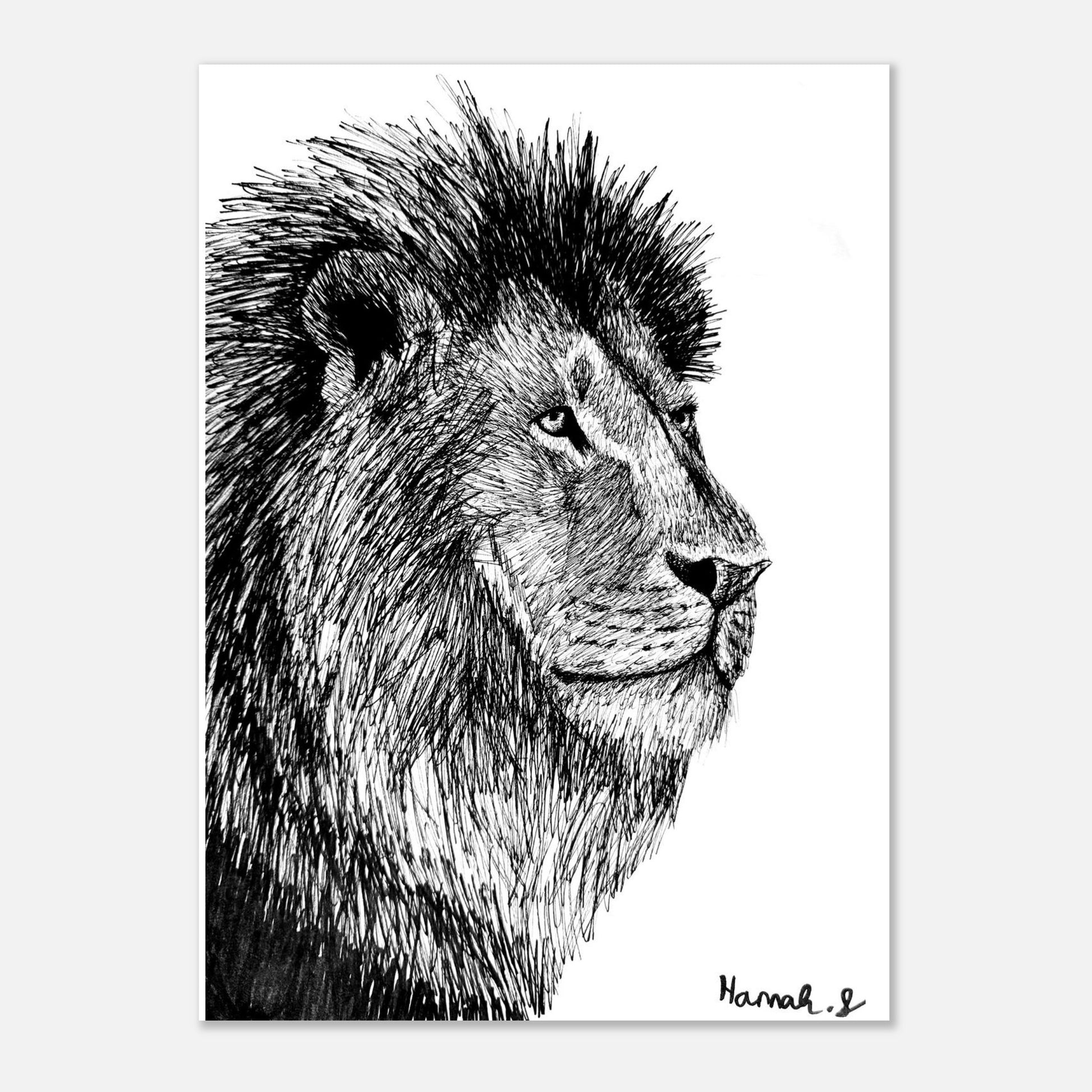 Lion Fine Art Print