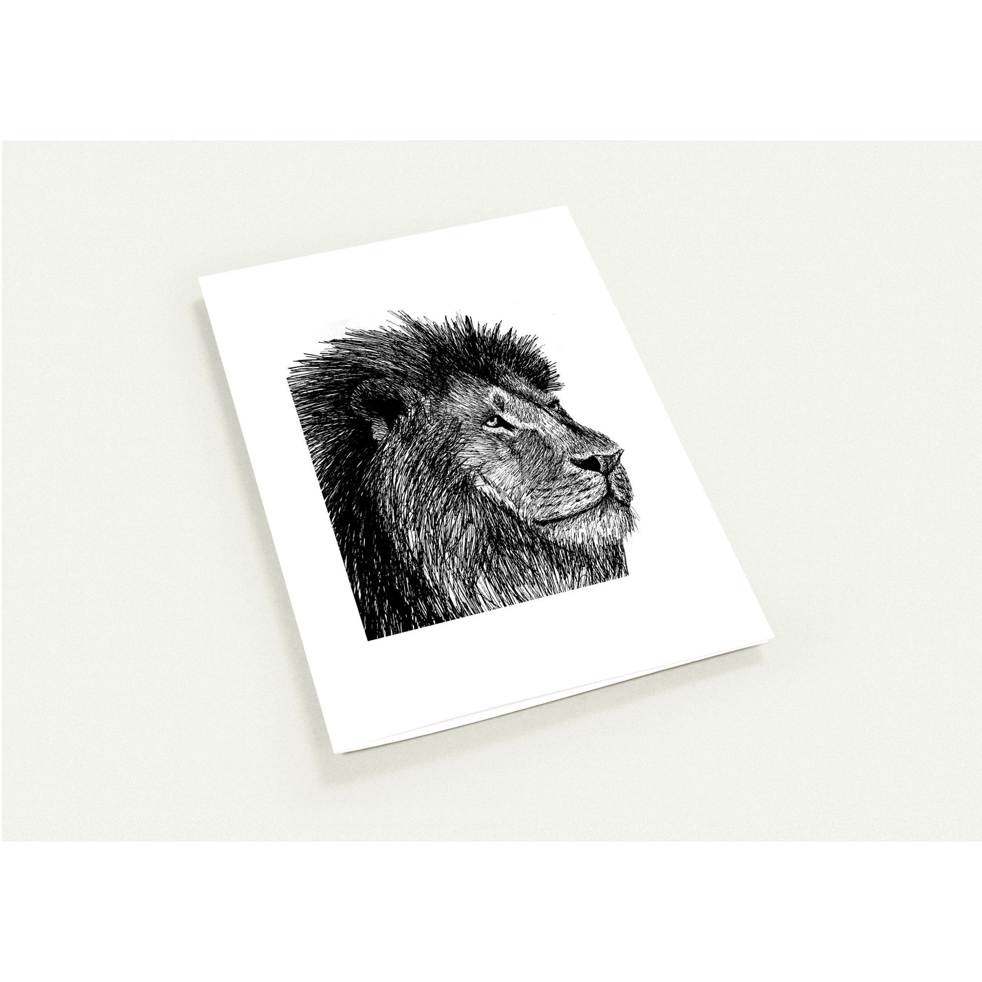 Lion Pack of 10 Greeting Cards