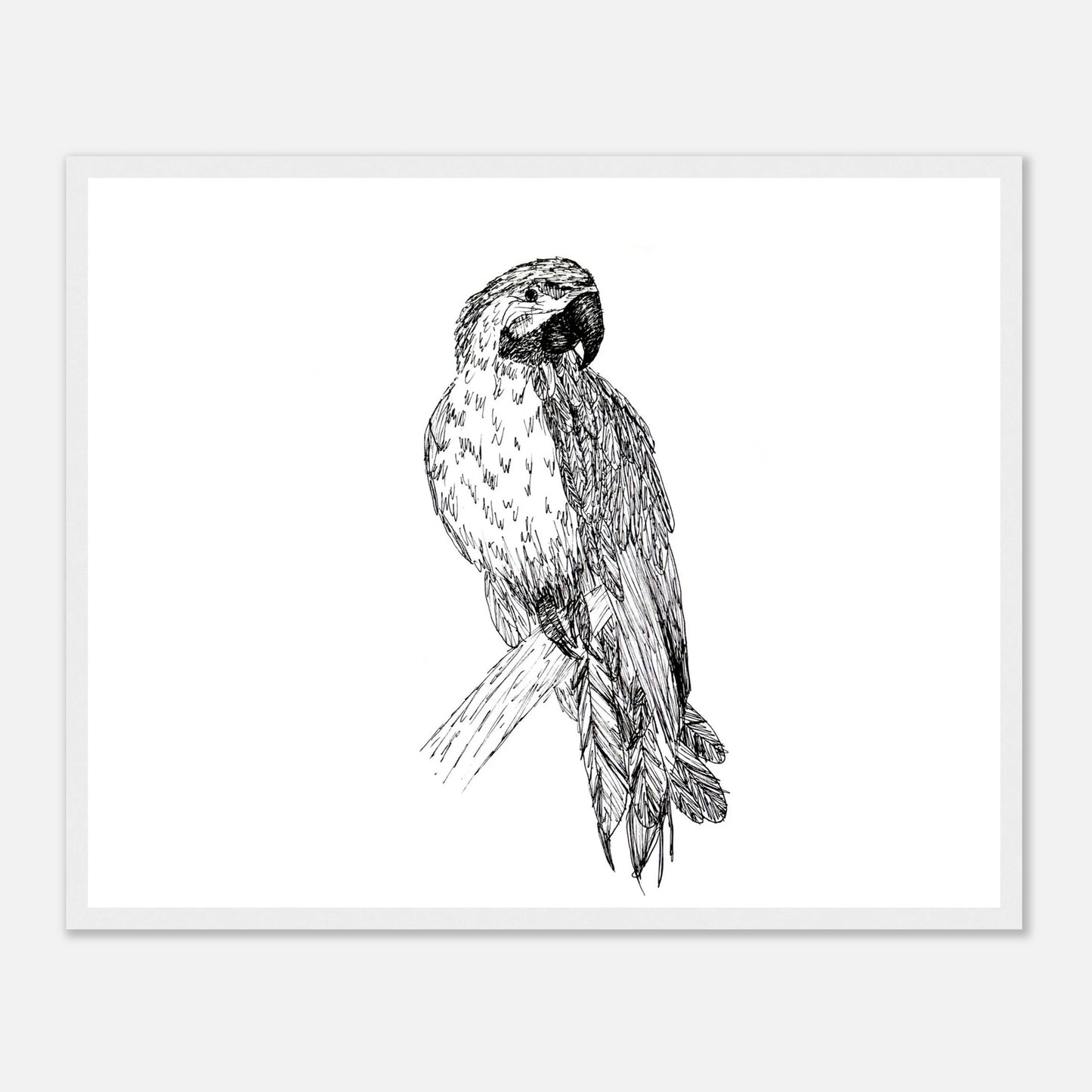 Macaw Classic Matte Paper Wooden Framed Poster