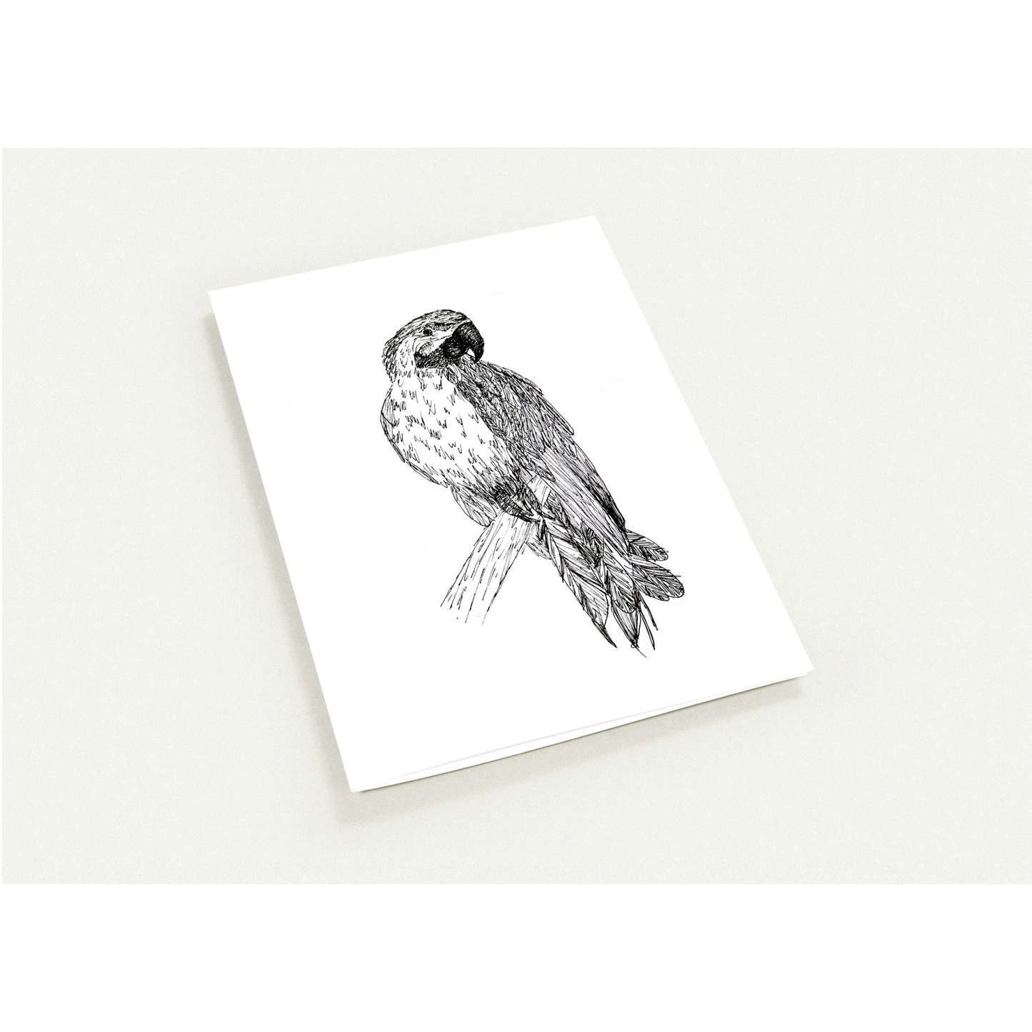 Macaw Pack of 10 Greeting Cards
