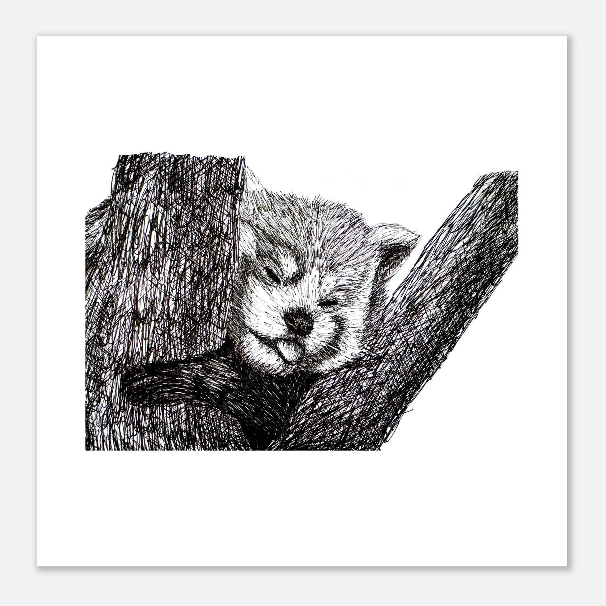 Red Panda Fine Art Poster