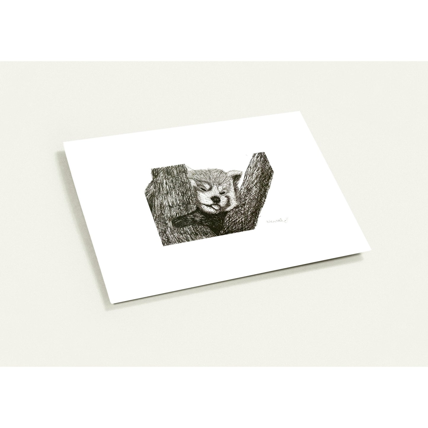 Red Panda Pack of 10 Greeting Cards