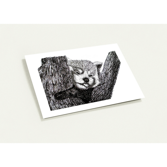 Red Panda Pack of 10 Greeting Cards