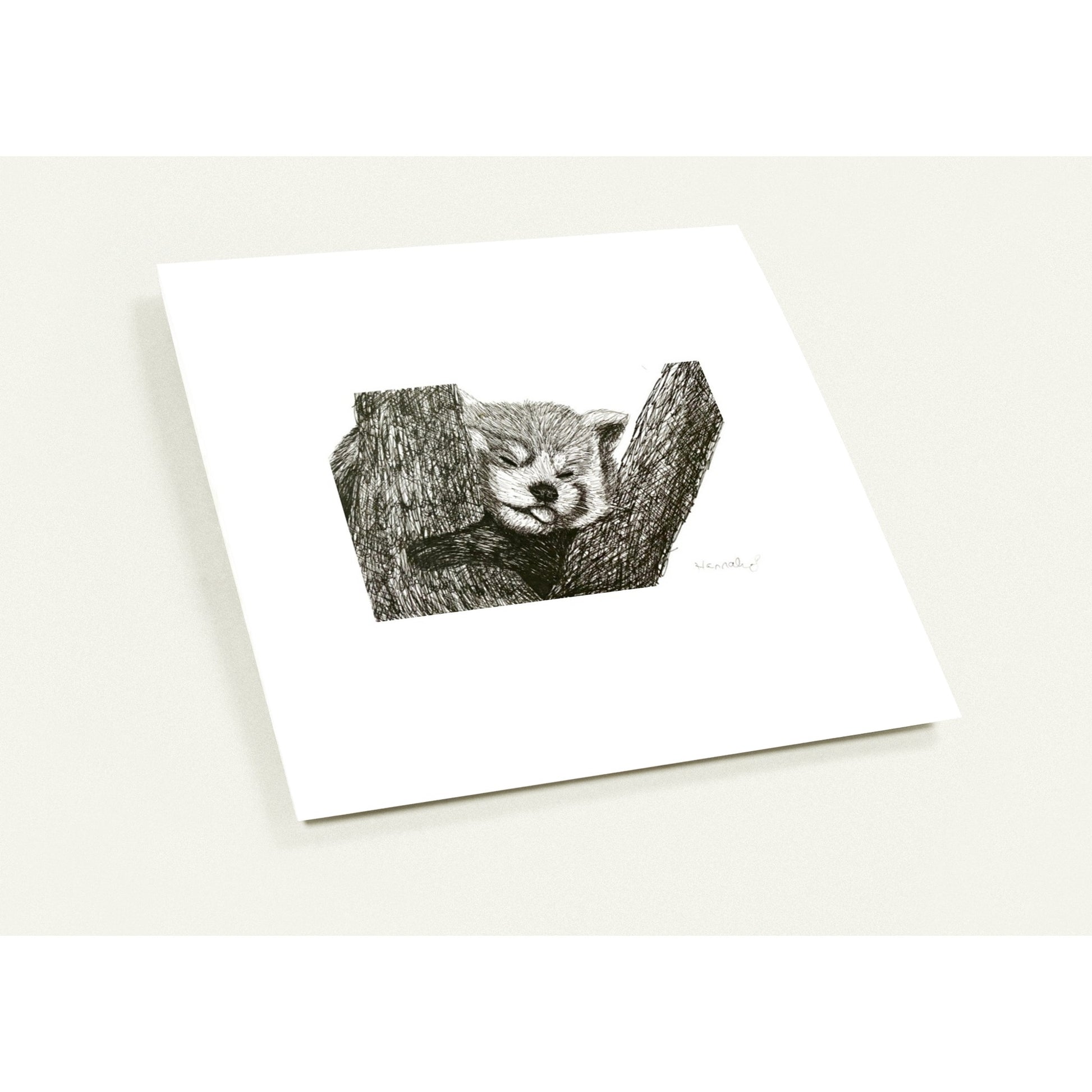 Red Panda Pack of 10 Greeting Cards