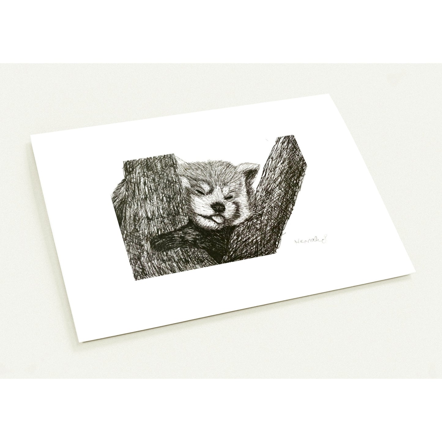 Red Panda Pack of 10 Greeting Cards