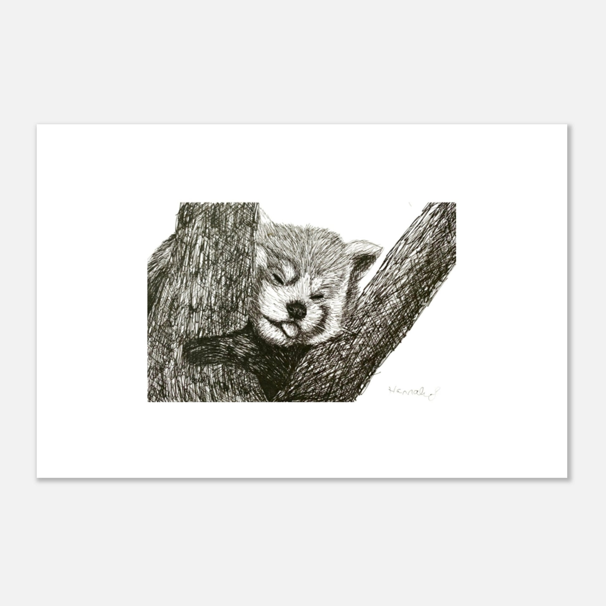 Red Panda Premium Semi-Glossy Paper Poster