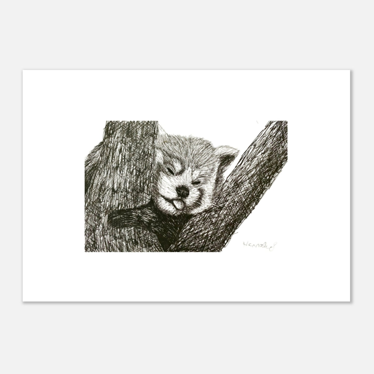 Red Panda Premium Semi-Glossy Paper Poster