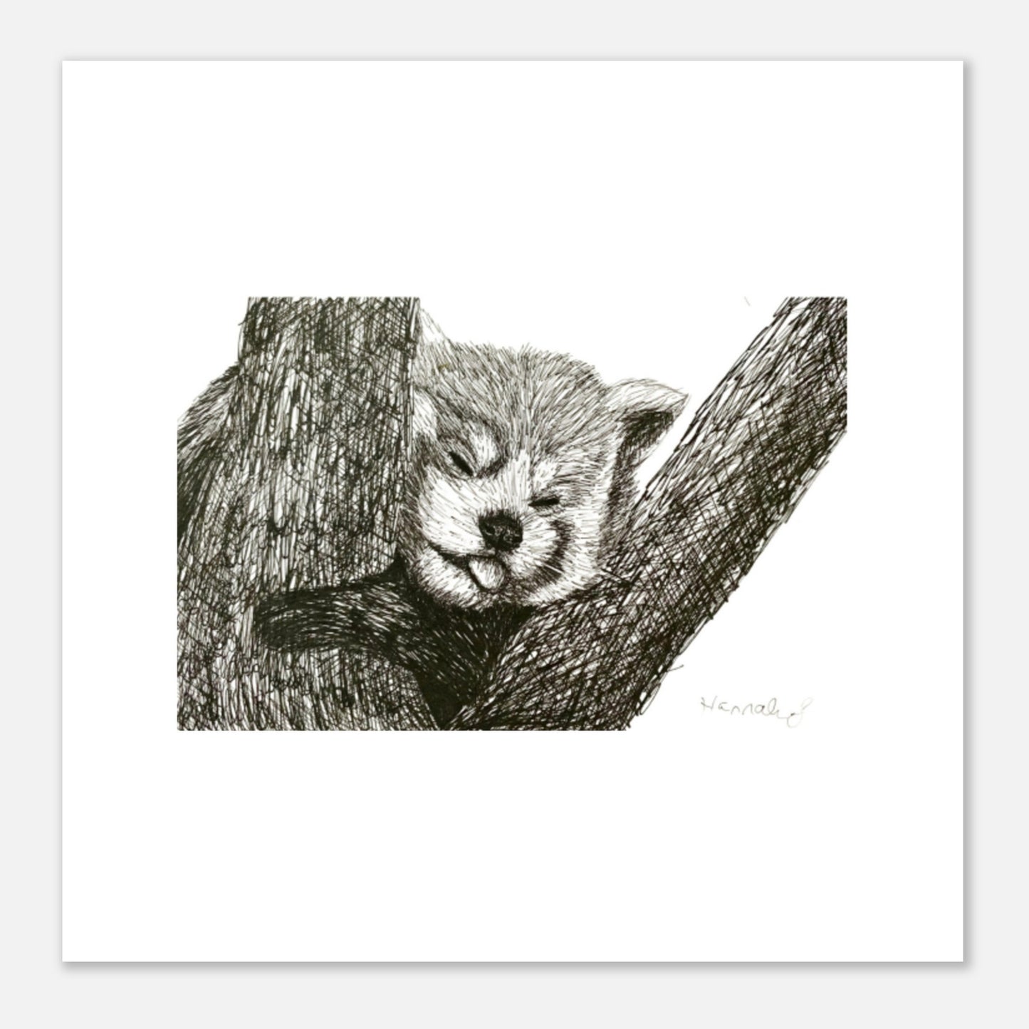 Red Panda Premium Semi-Glossy Paper Poster