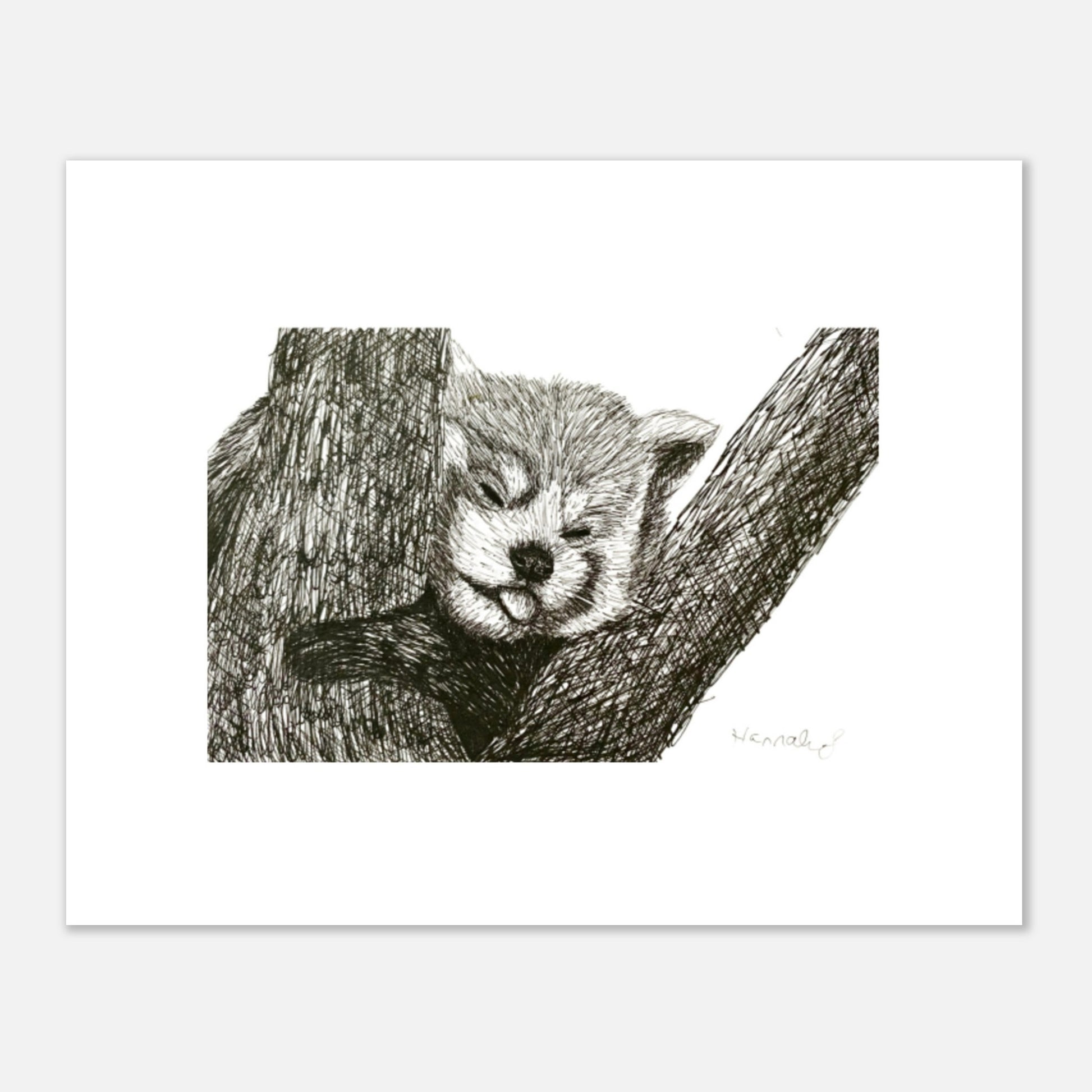 Red Panda Premium Semi-Glossy Paper Poster