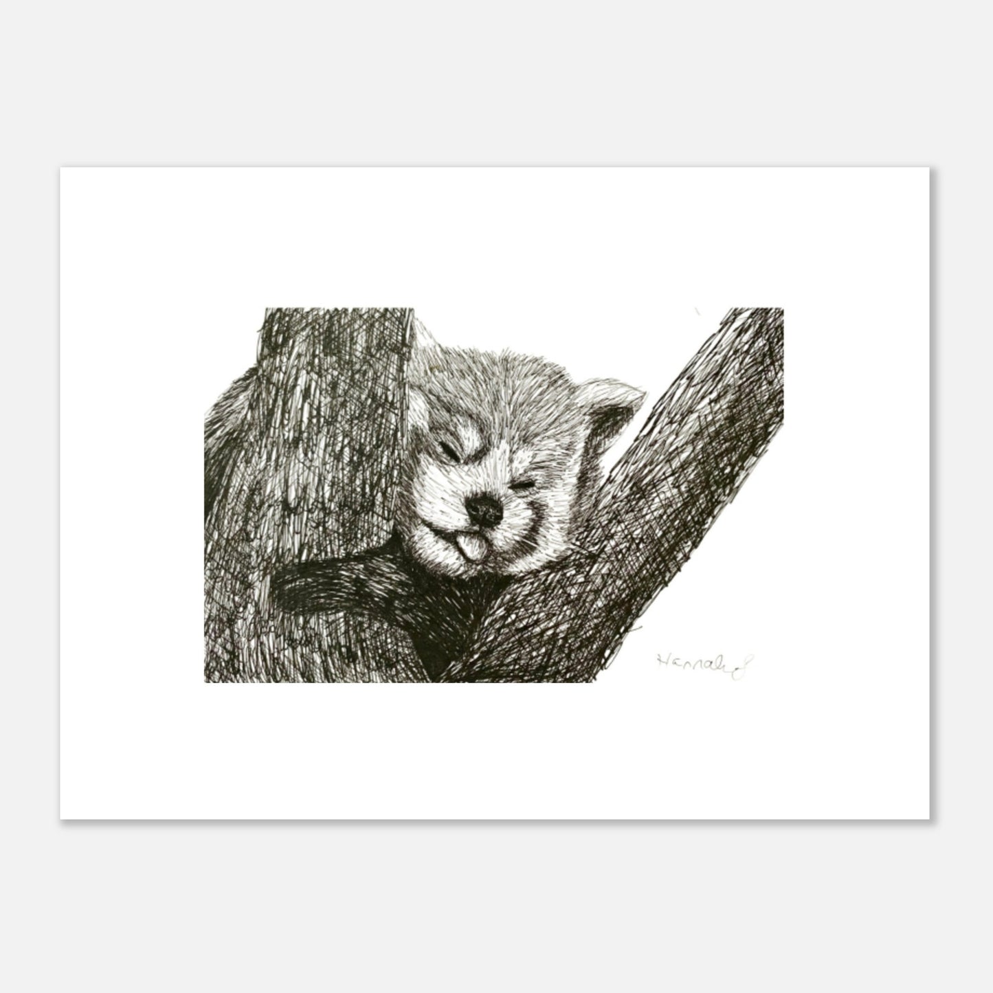 Red Panda Premium Semi-Glossy Paper Poster