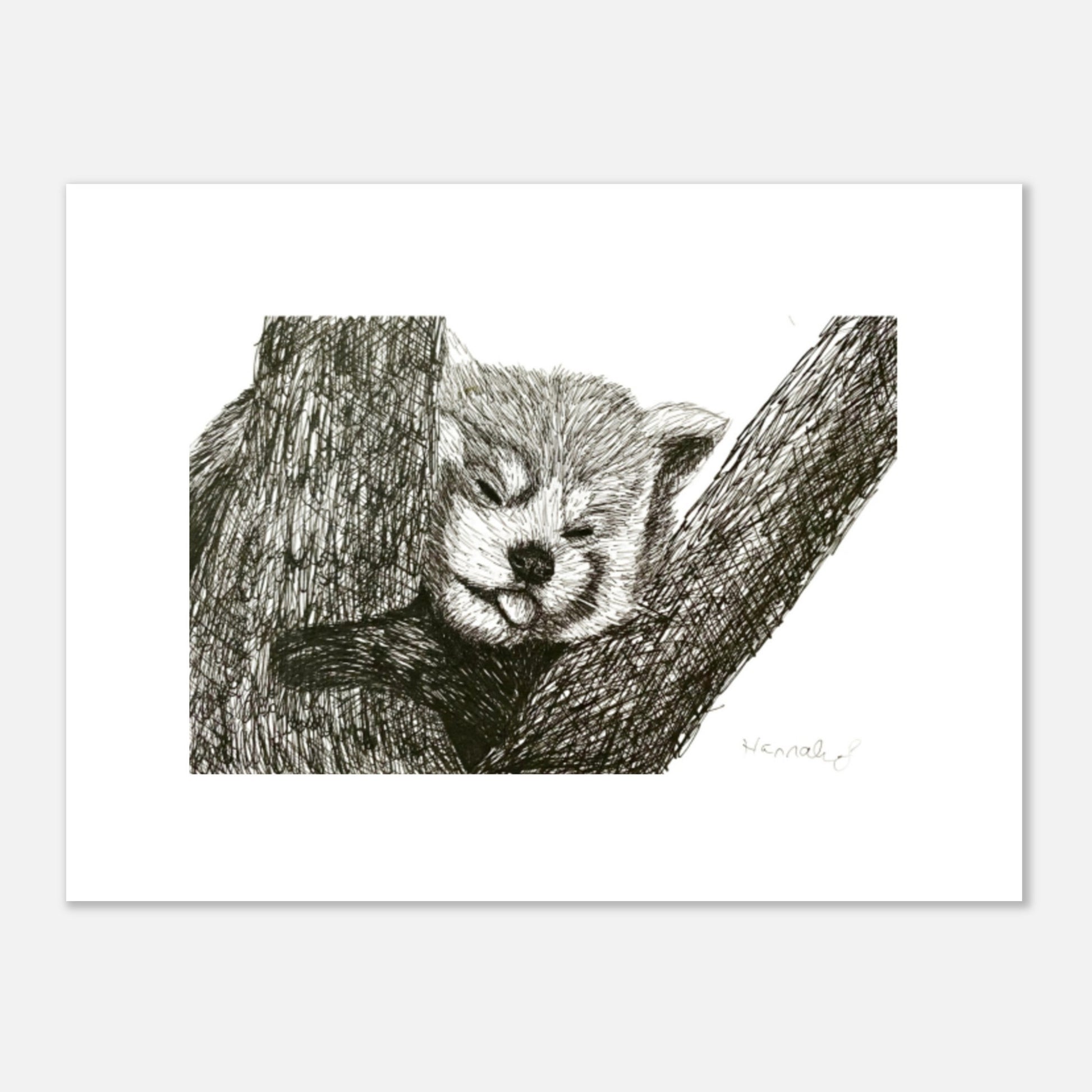 Red Panda Premium Semi-Glossy Paper Poster