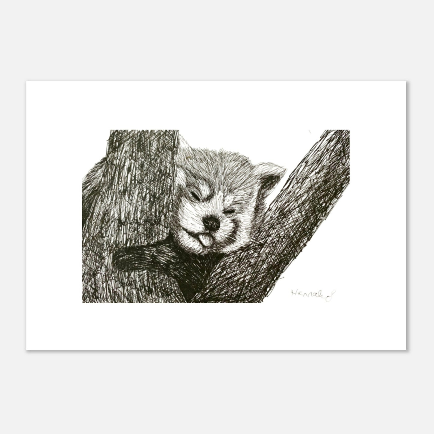 Red Panda Premium Semi-Glossy Paper Poster