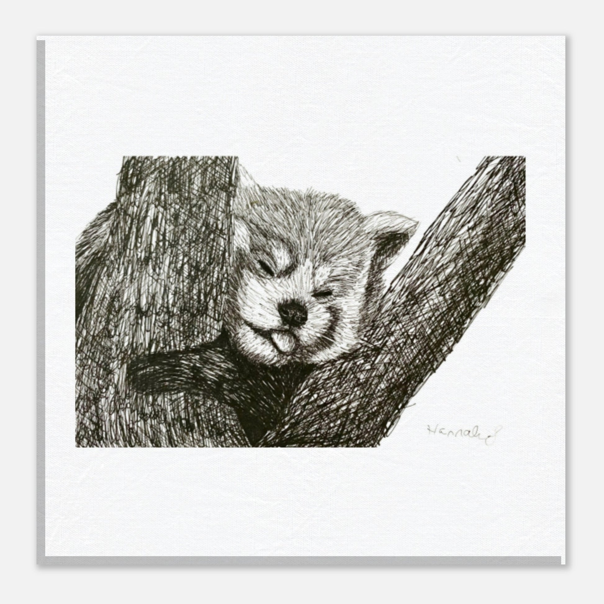 Red Panda canvas