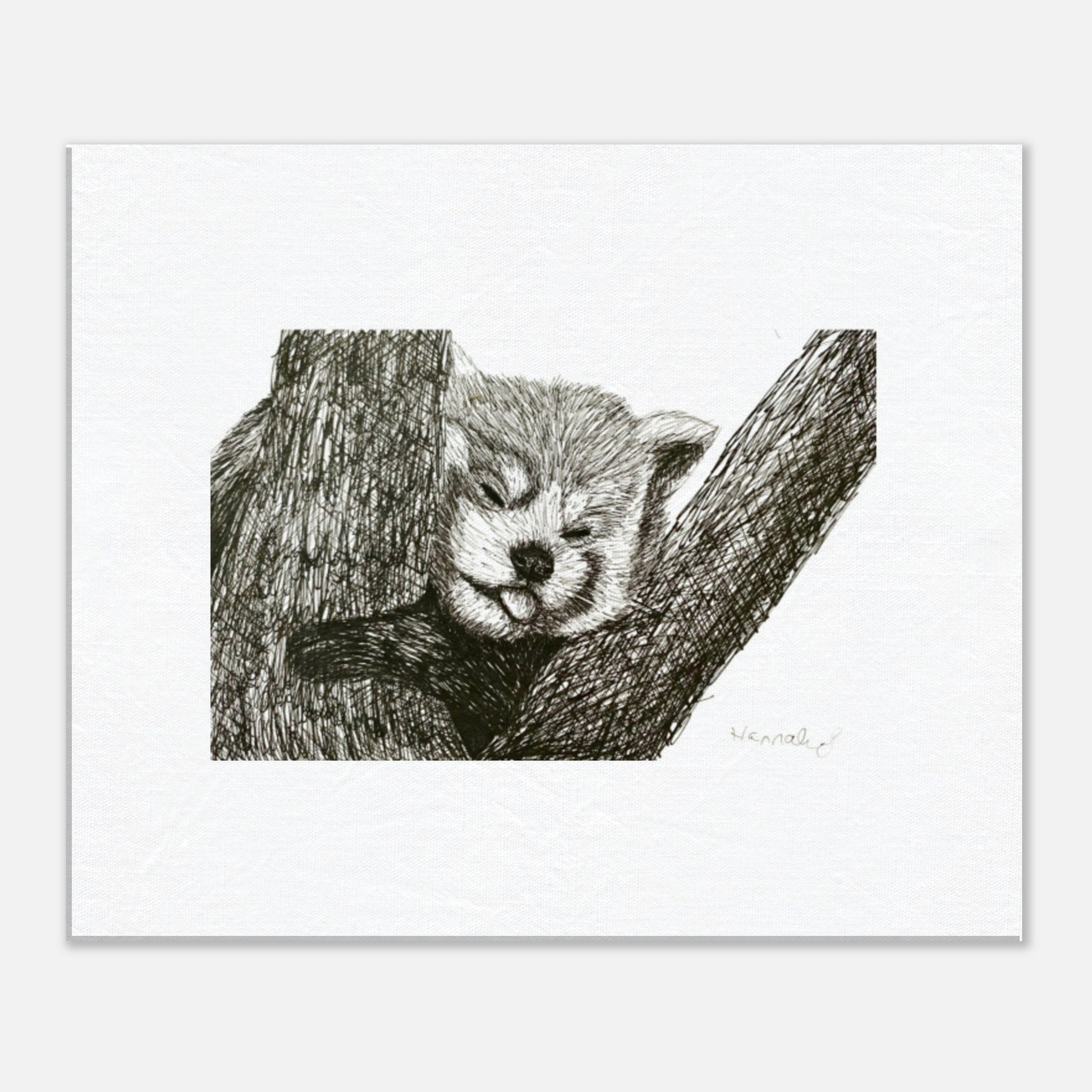 Red Panda canvas