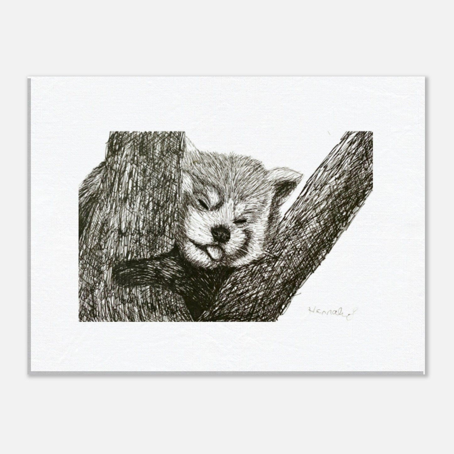 Red Panda canvas