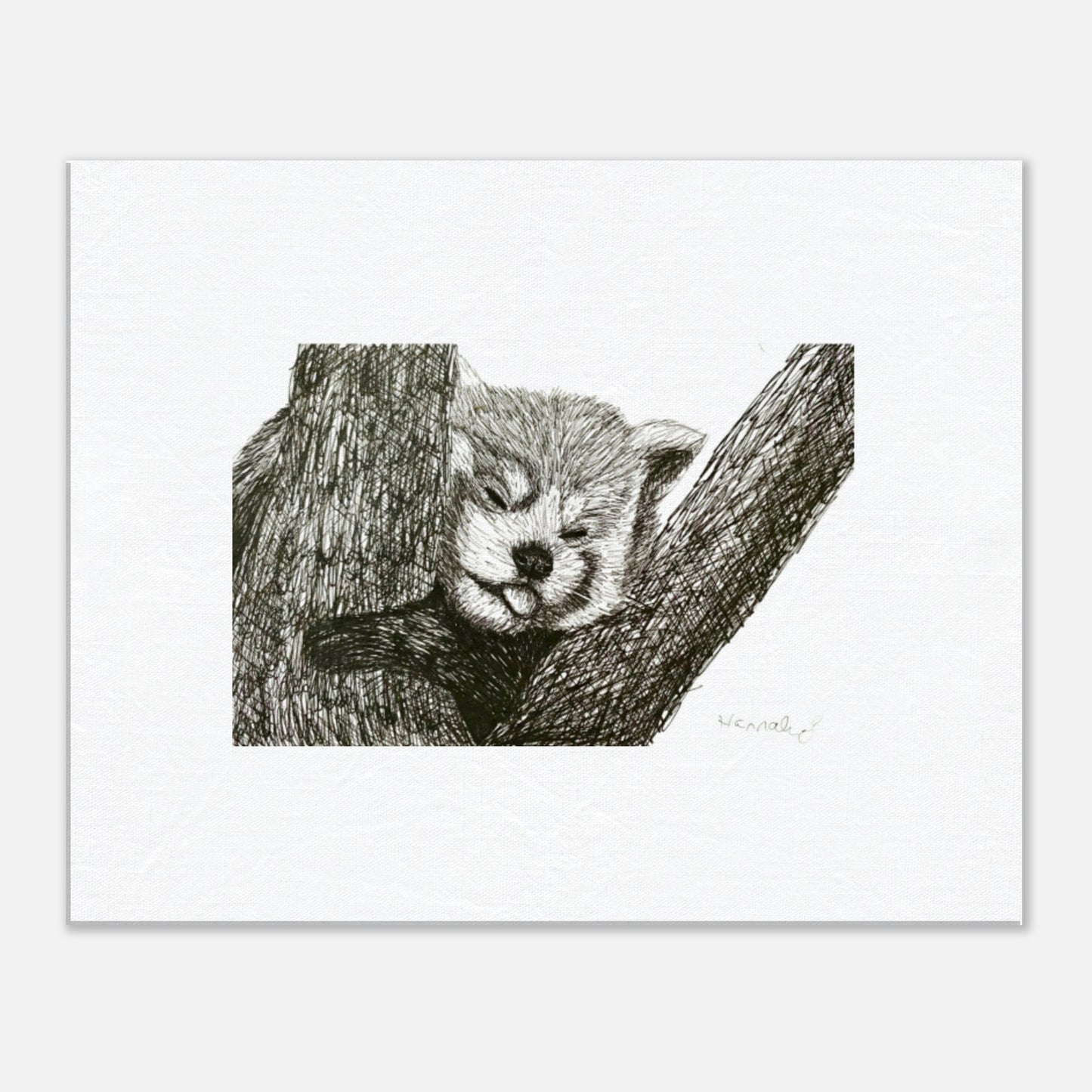 Red Panda canvas