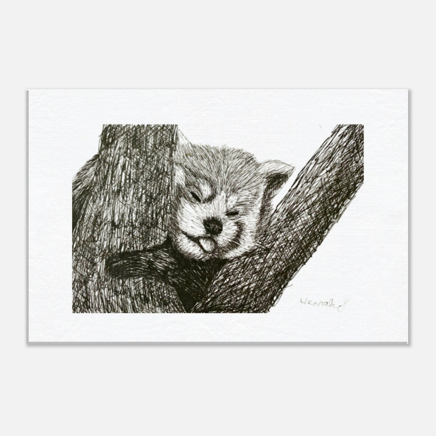 Red Panda canvas