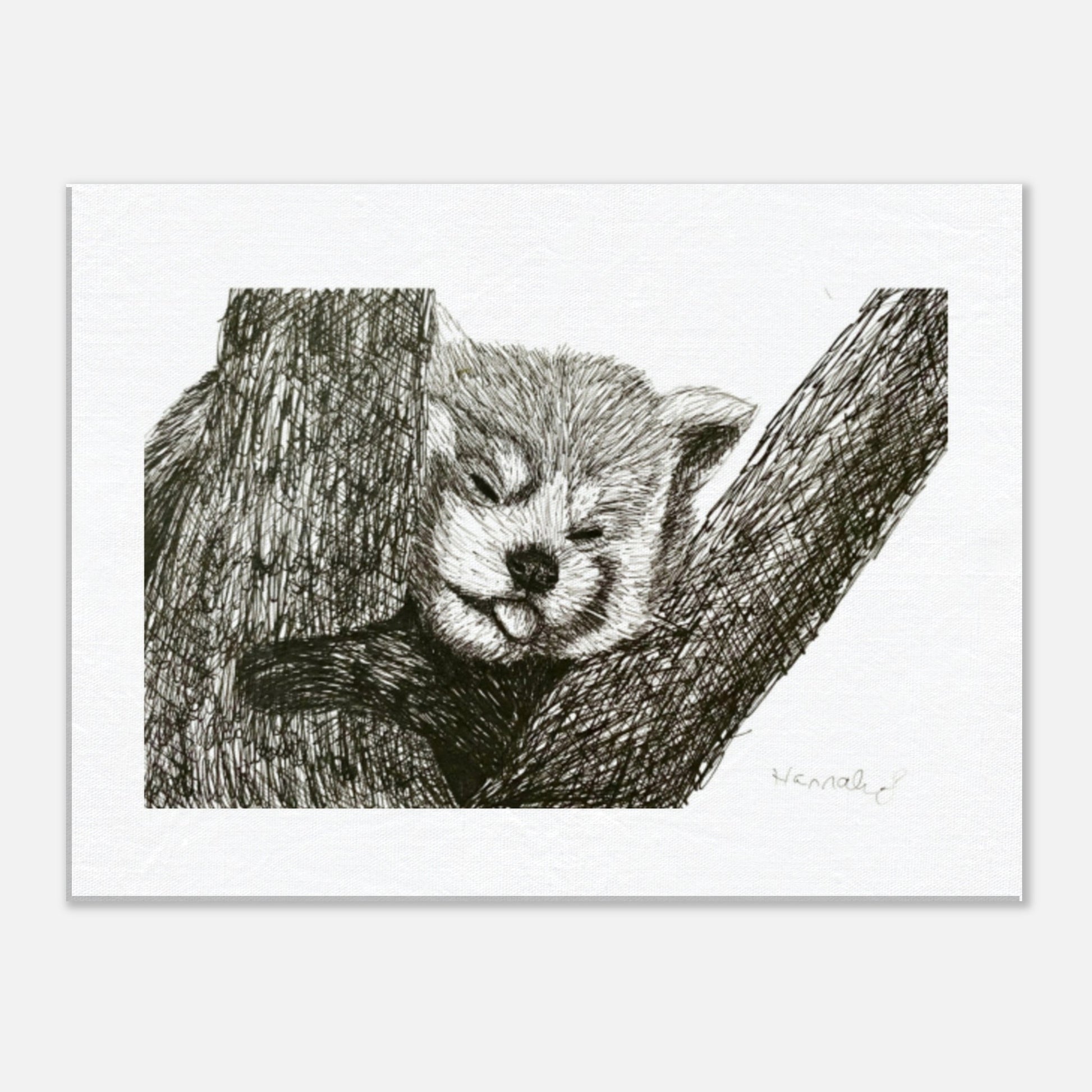 Red Panda canvas