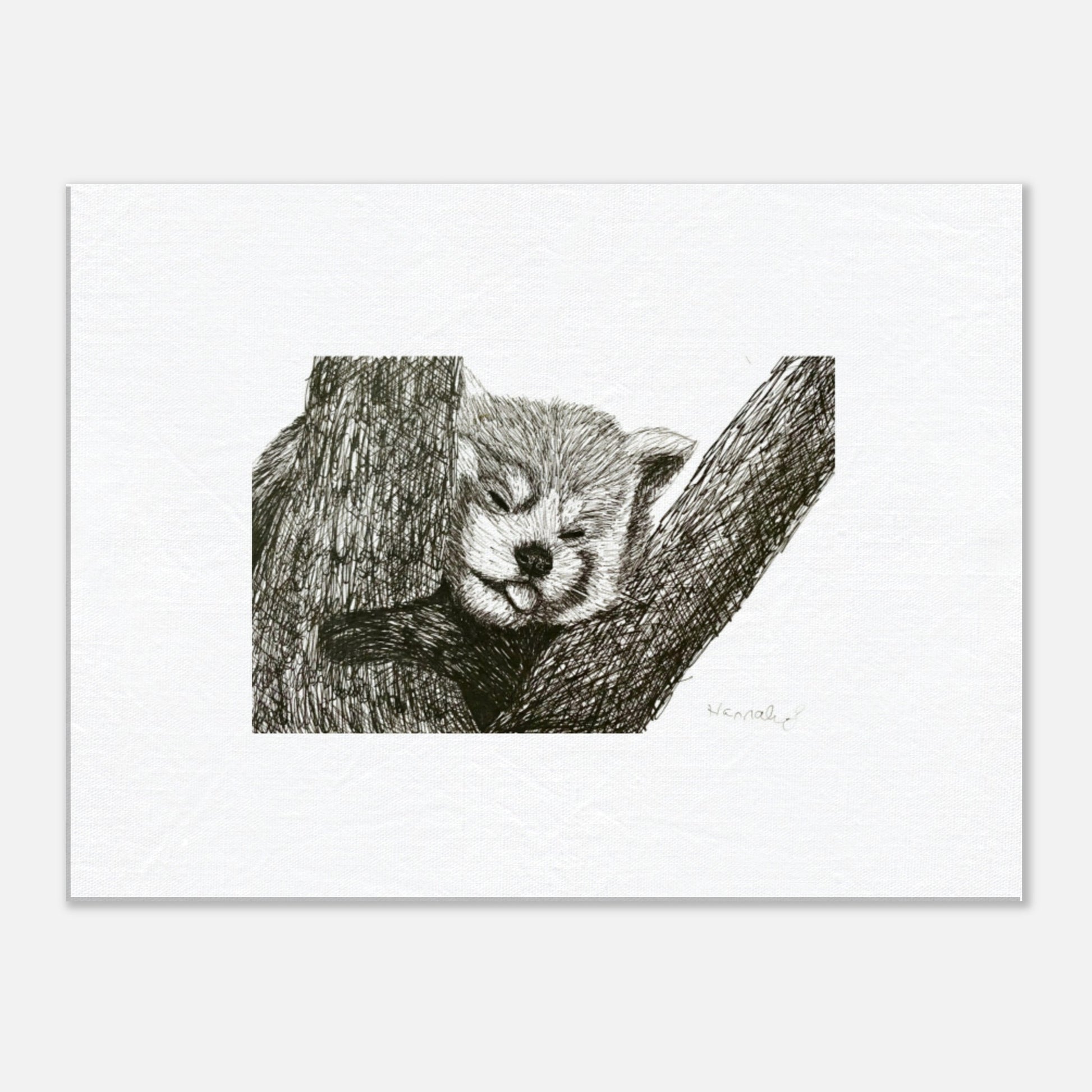 Red Panda canvas