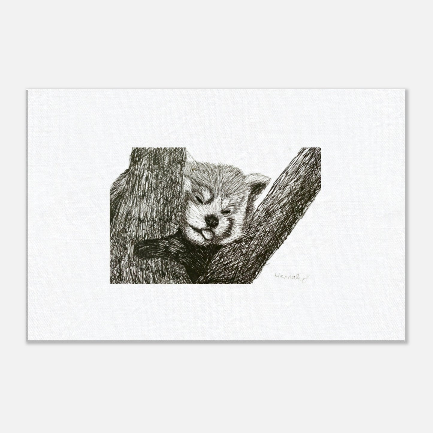 Red Panda canvas